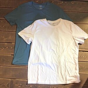 Two Men's T-Shirts from Sonoma in Cotton Blend Fabric Size Large